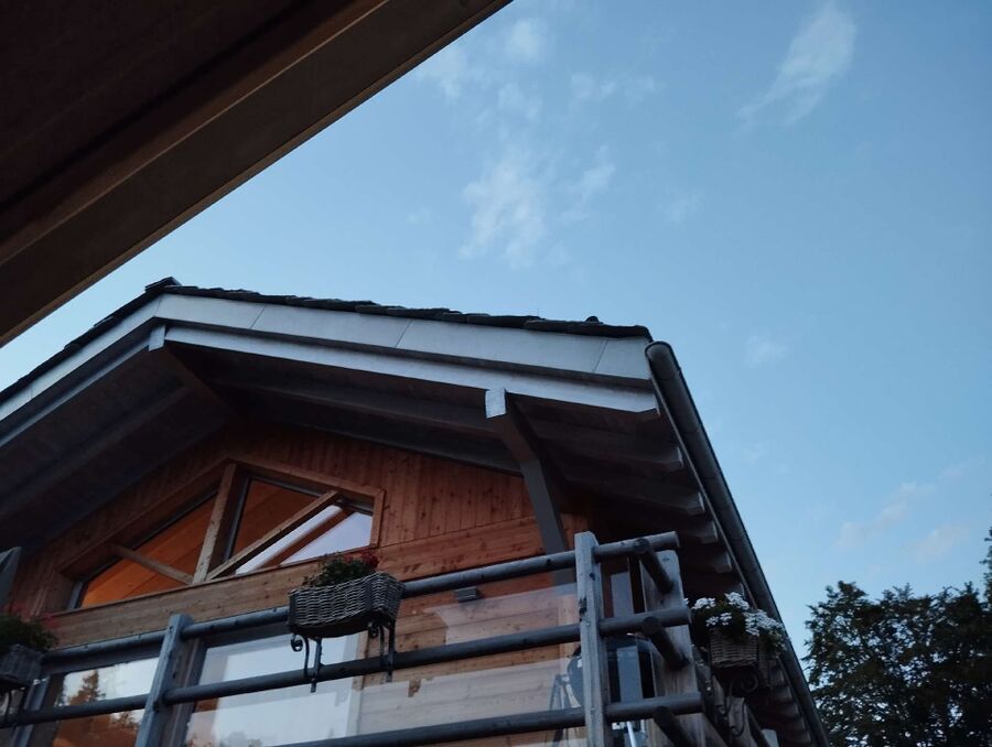 Bee nest at the house remove