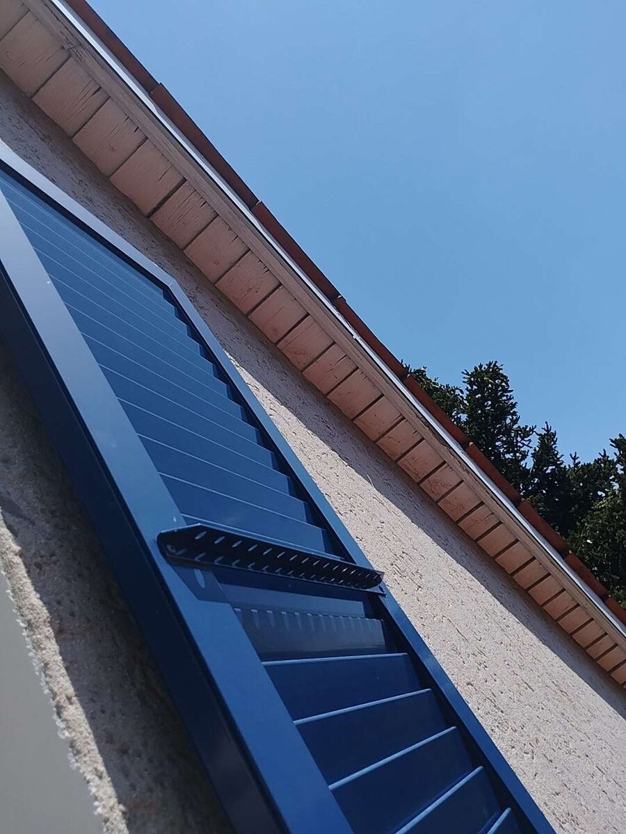 Relocate bees & remove bee nest