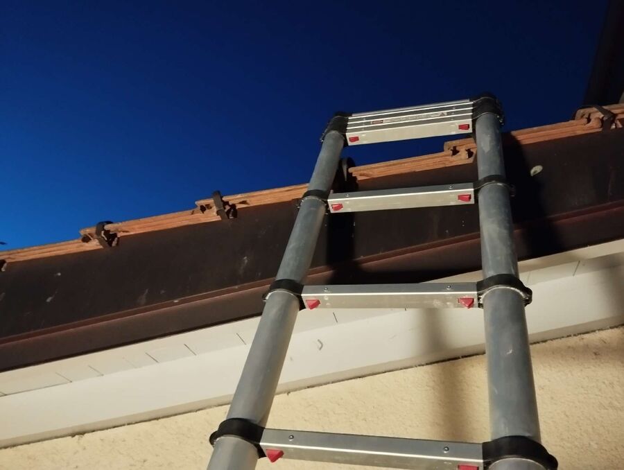 Bee nest at the house remove