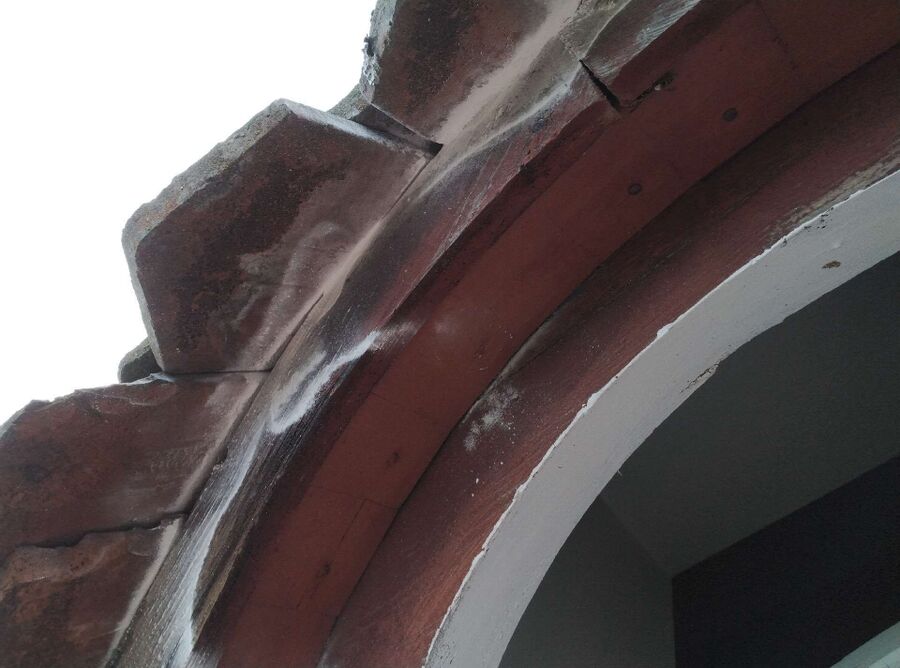 Relocate bees & remove bee nest