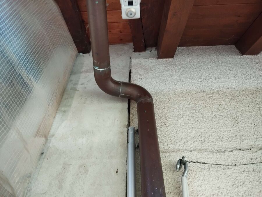 Bee nest at the house remove