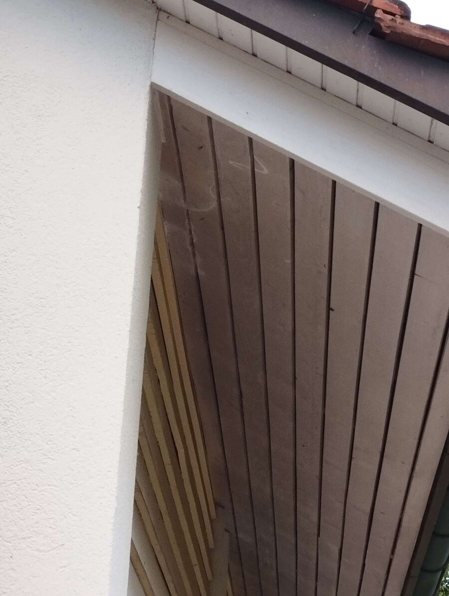 Relocate bees & remove bee nest