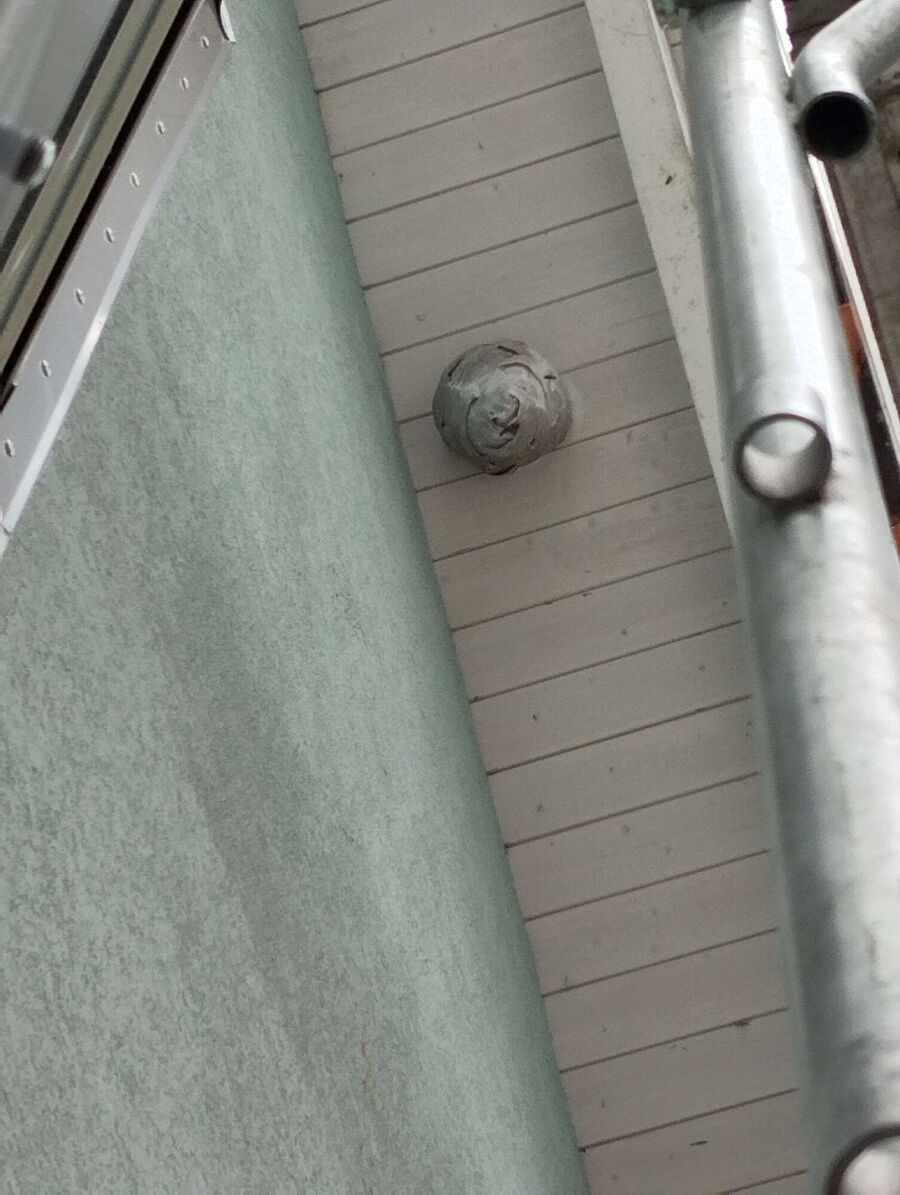 Bee nest at the house remove