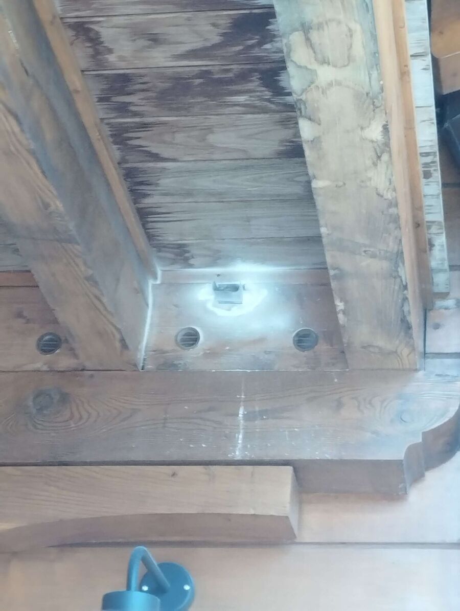 Relocate bees & remove bee nest