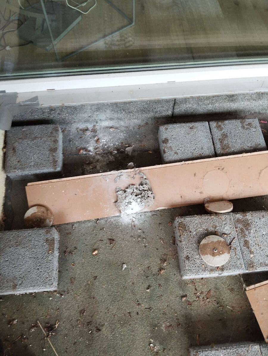 Bee nest at the house remove