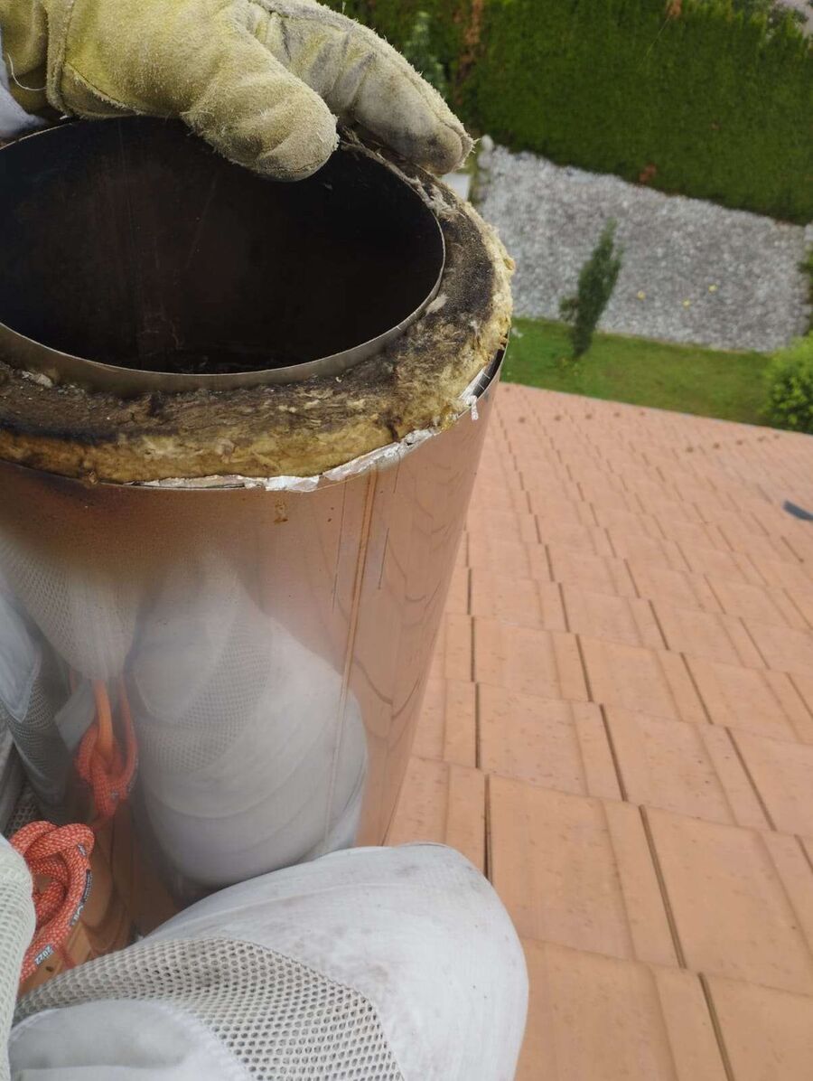 Bee nest at the house remove