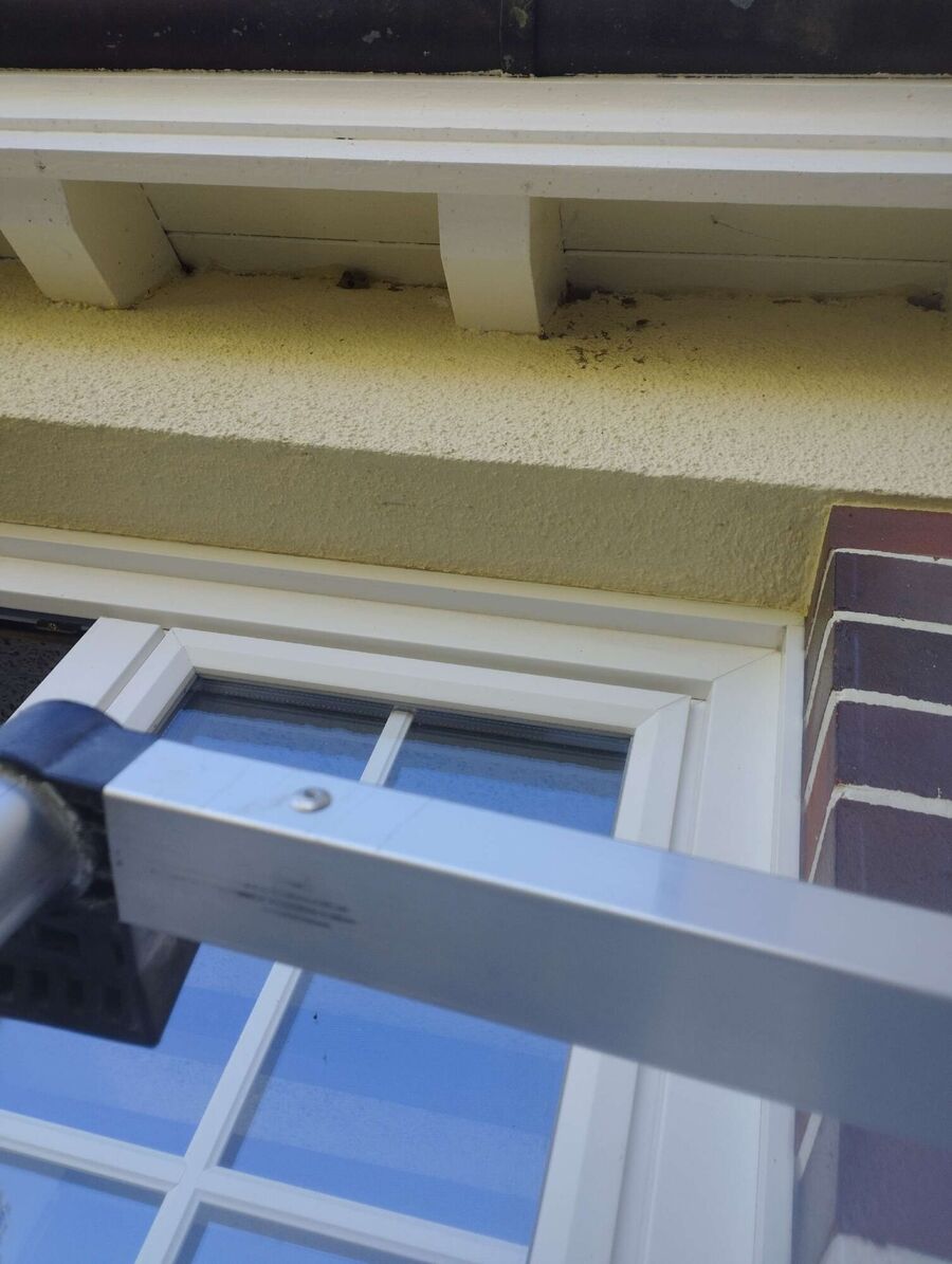 Bee nest at the house remove