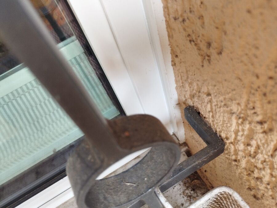 Bee nest at the house remove