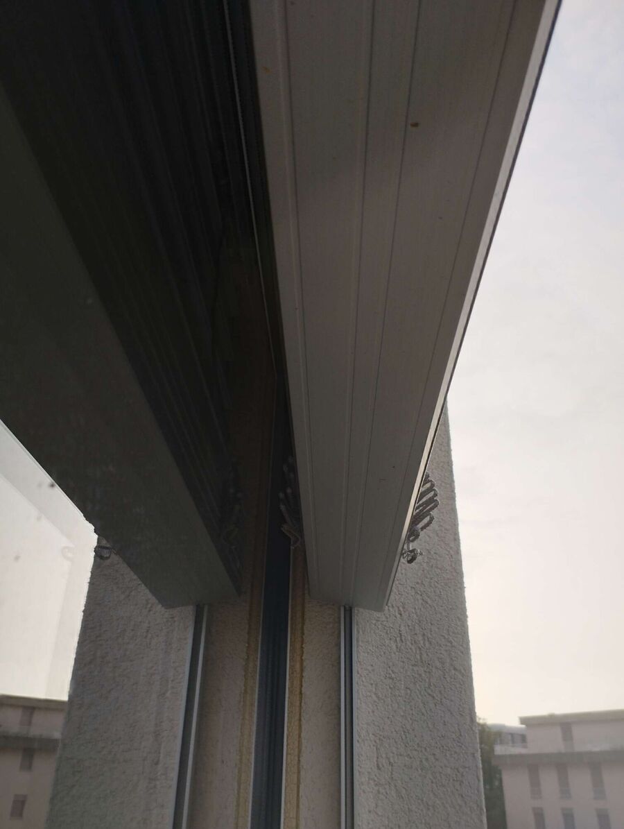 Bee nest at the house remove