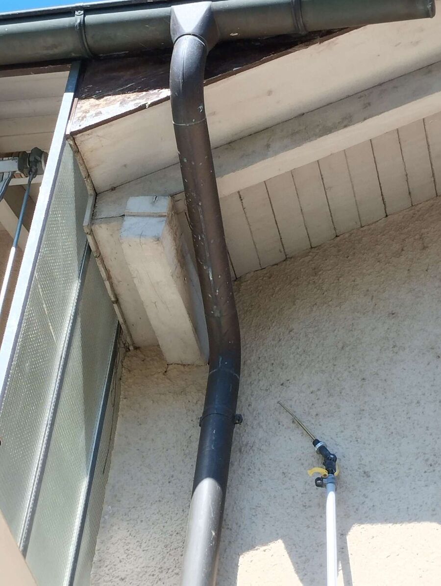 Bee nest at the house remove