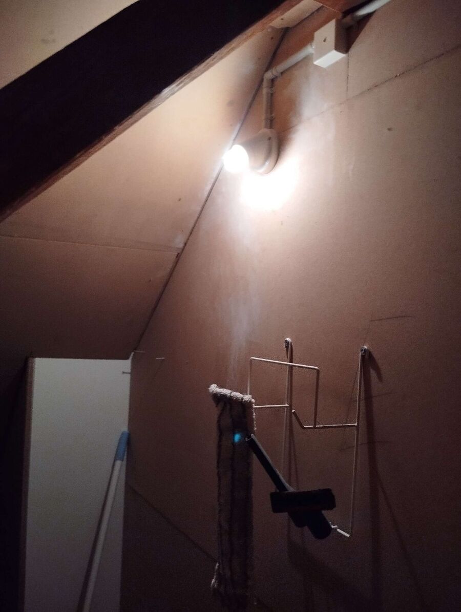 Relocate bees & remove bee nest