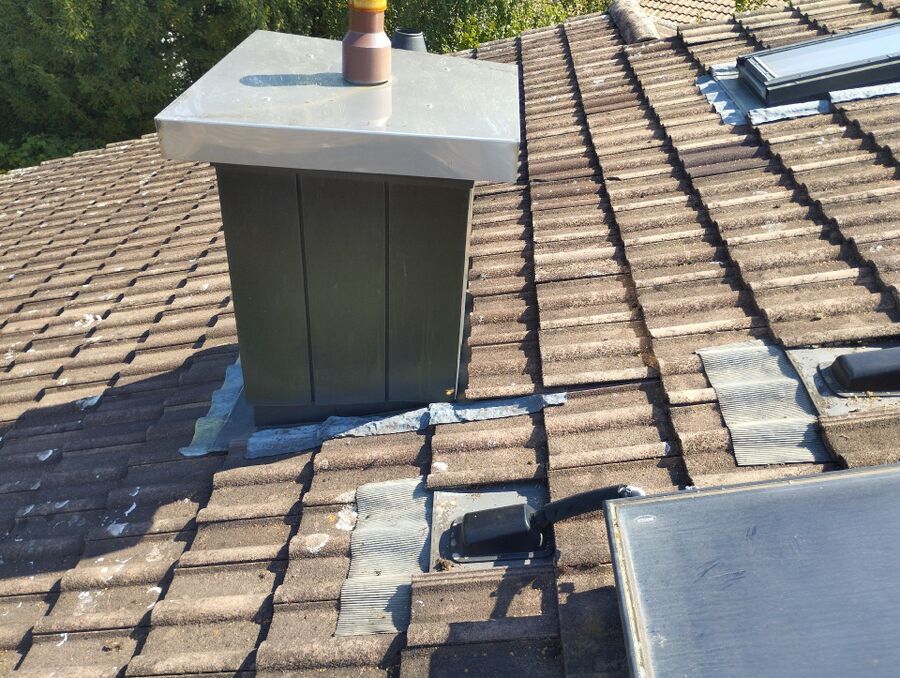 Relocate bees & remove bee nest