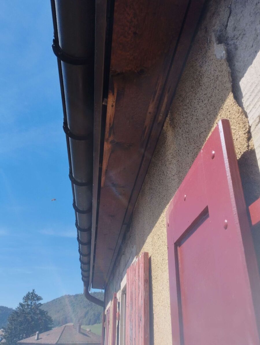 Bee nest at the house remove