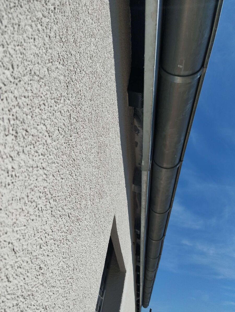 Bee nest at the house remove