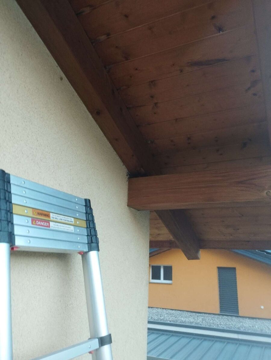 Bee nest at the house remove