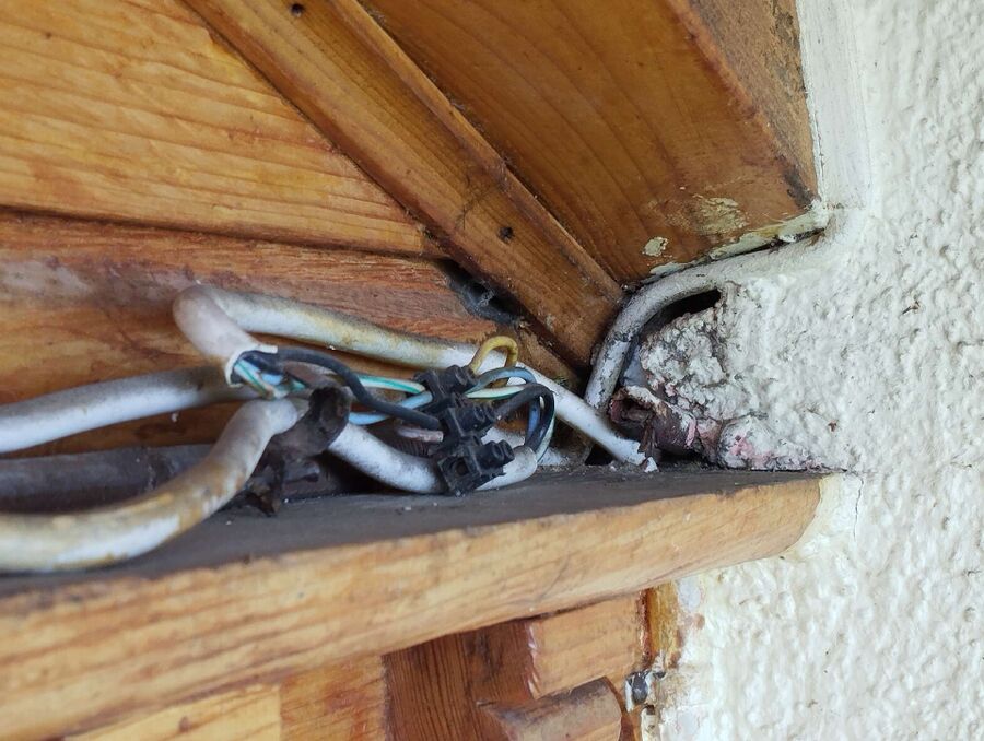 Bee nest at the house remove