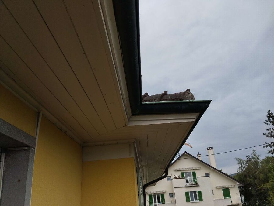 Bee nest at the house remove