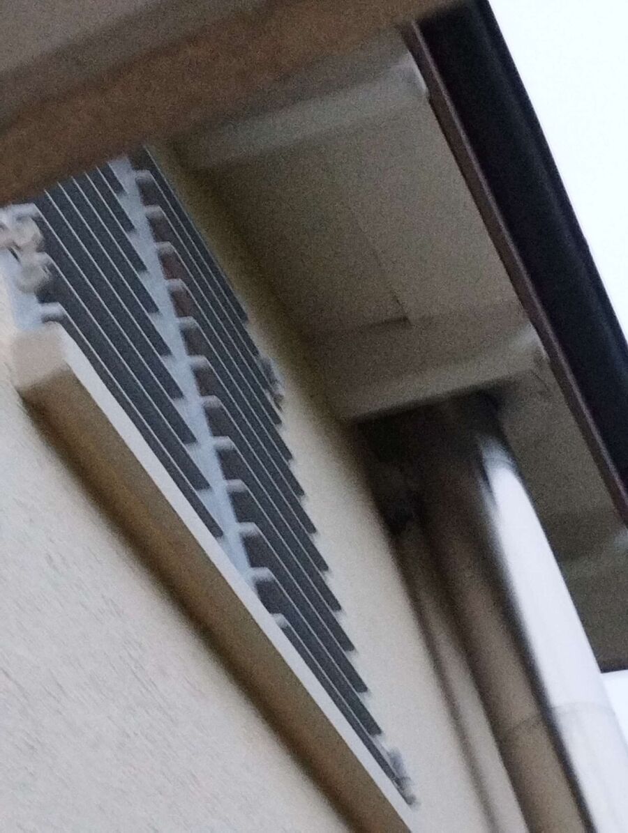 Bee nest at the house remove