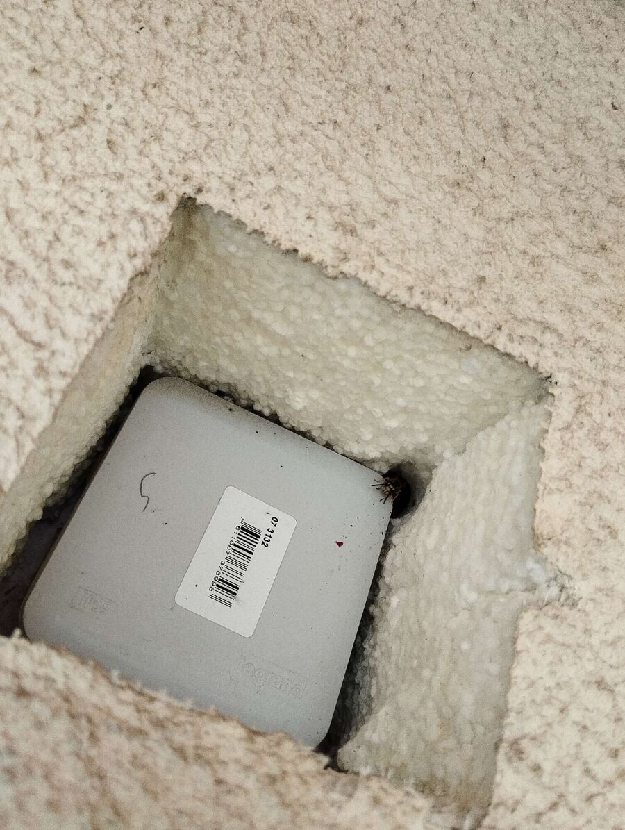 Bee nest at the house remove