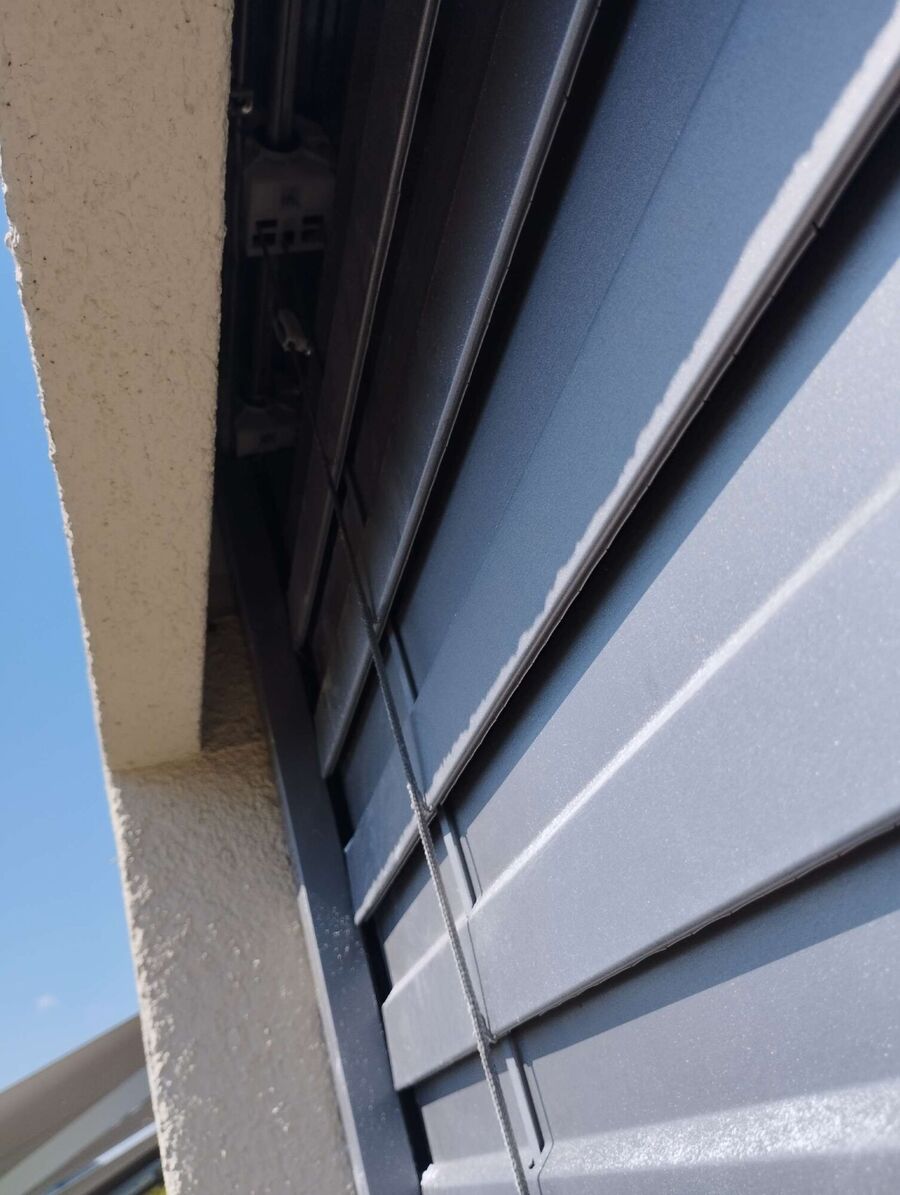 Relocate bees & remove bee nest