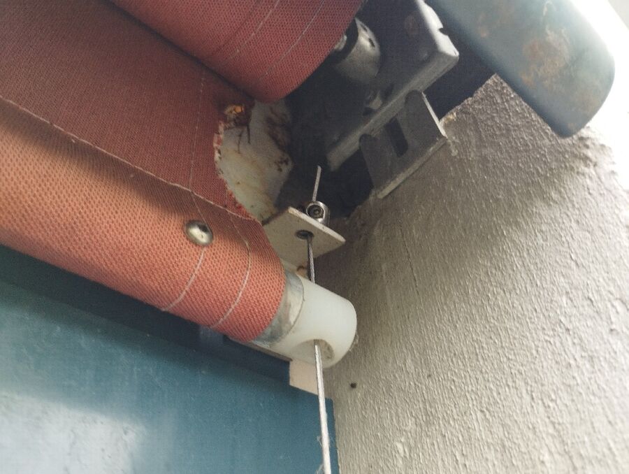 Bee nest at the house remove