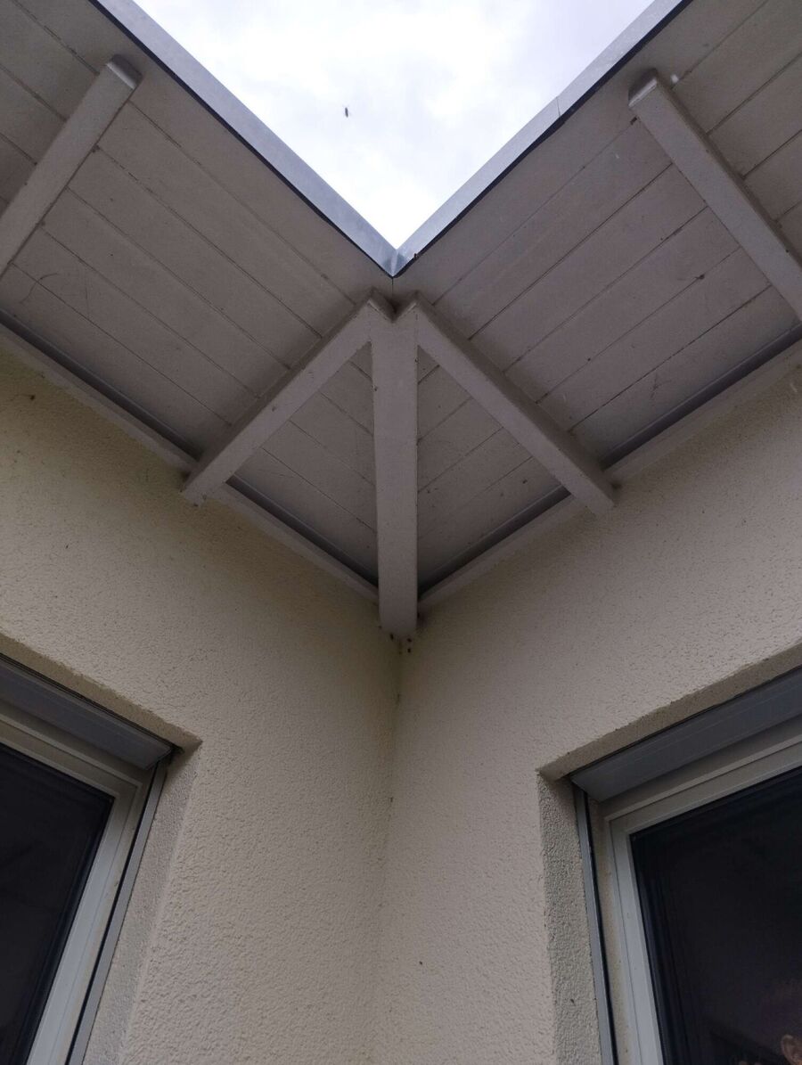 Bee nest at the house remove