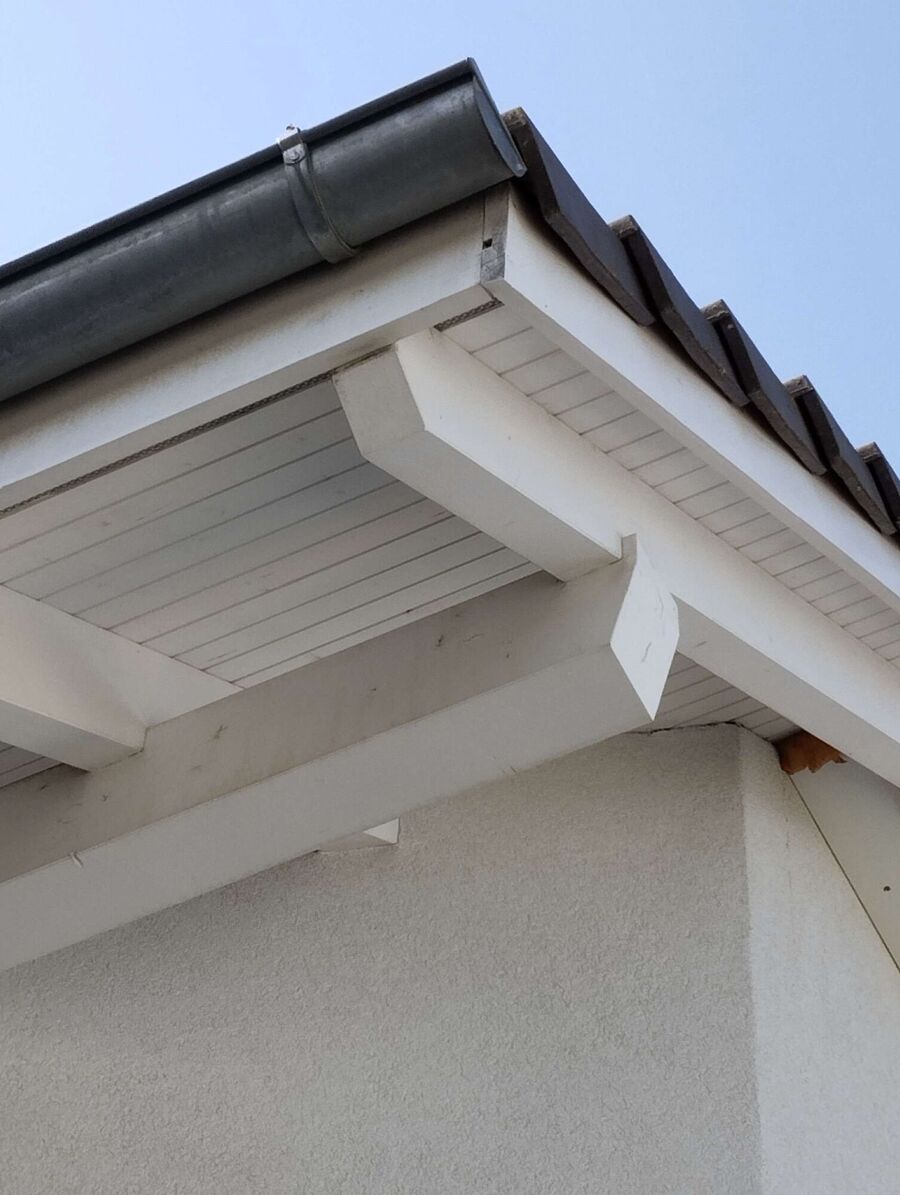 Bee nest at the house remove