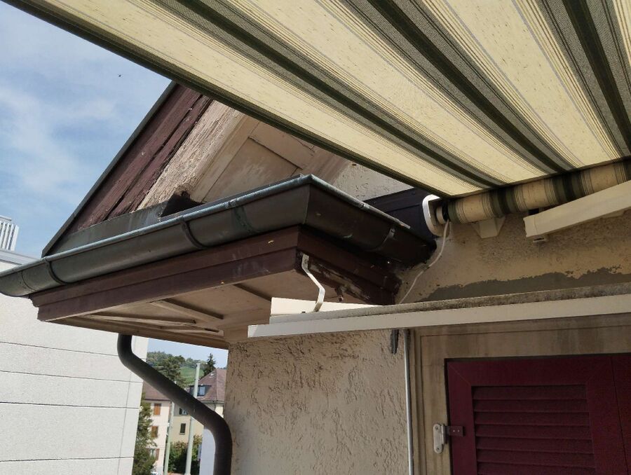 Relocate bees & remove bee nest