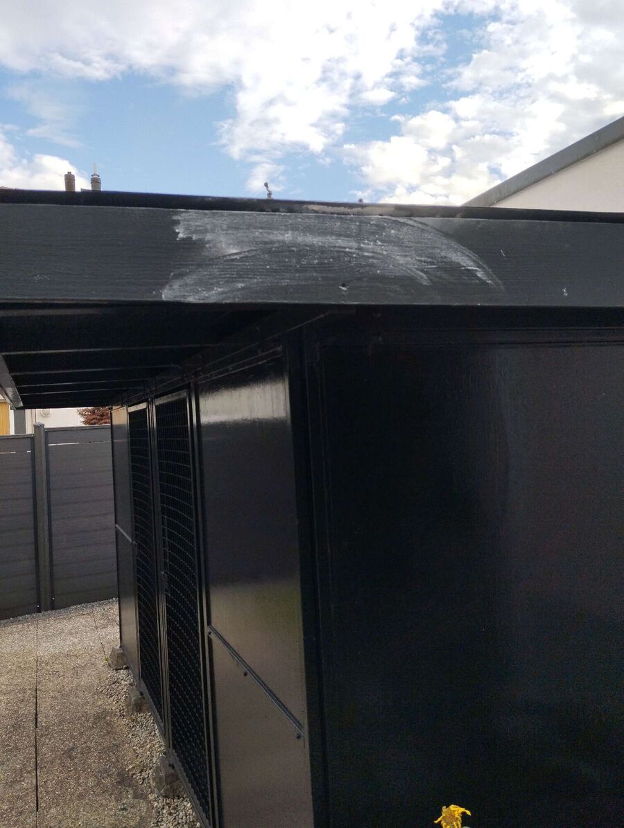 Bee nest at the house remove