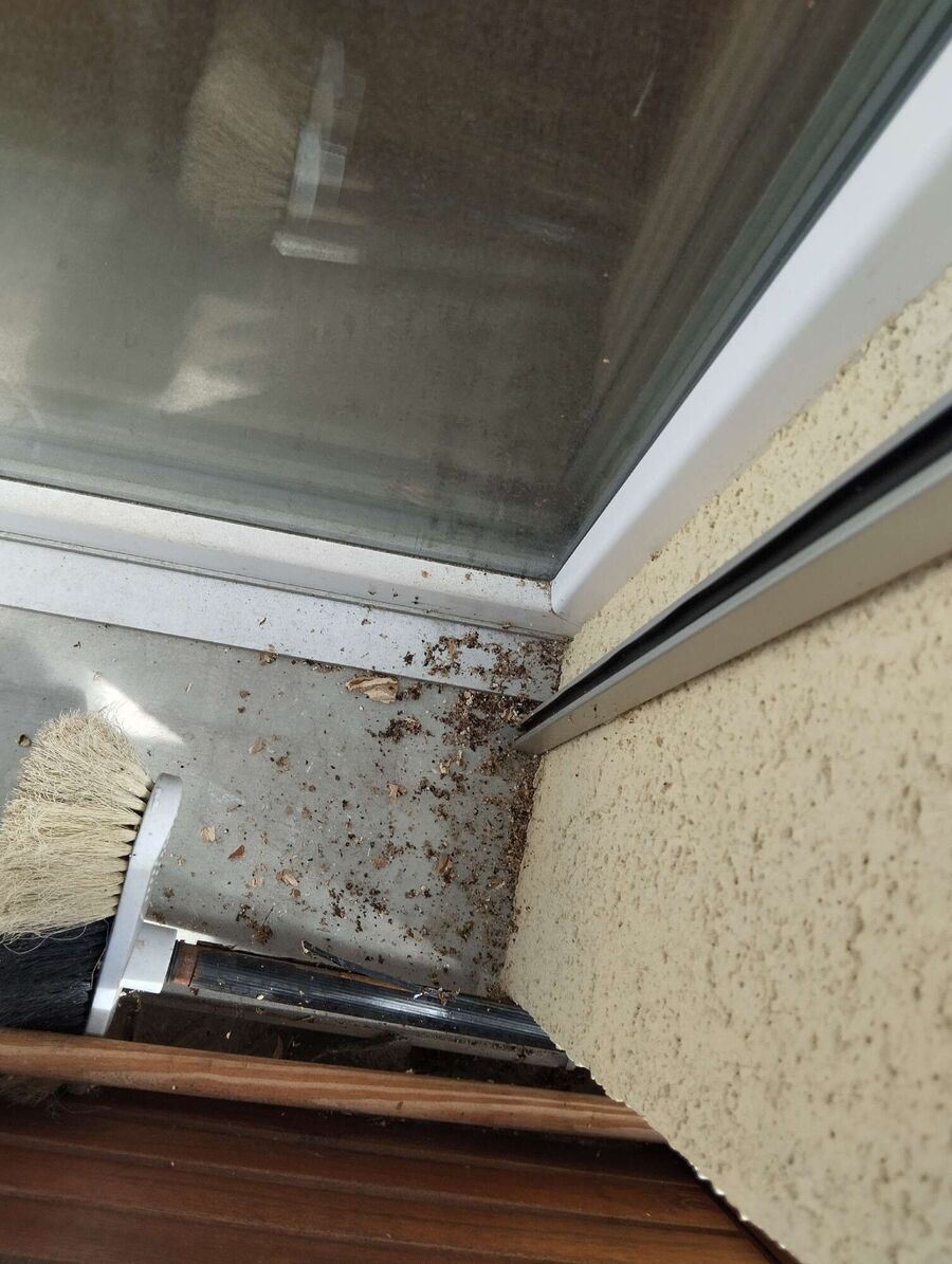 Remove bee nest
