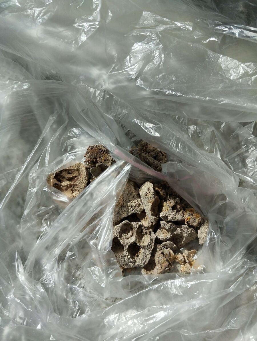 Bee nest at the house remove