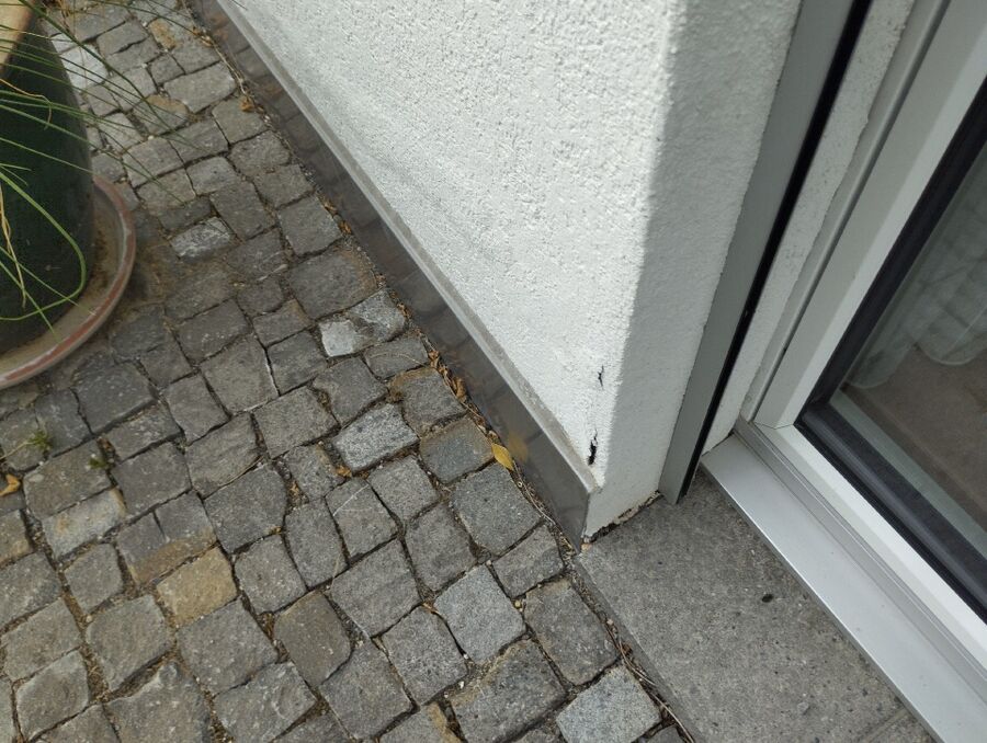 Bee nest at the house remove