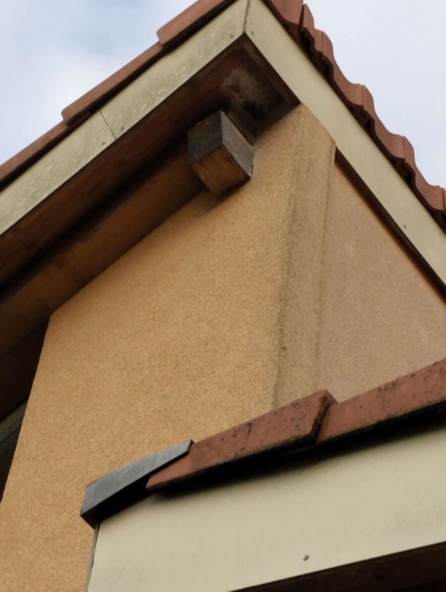 Bee nest at the house remove