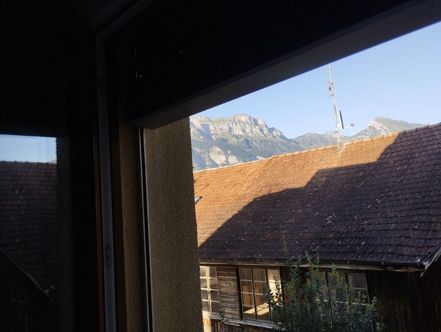 Relocate bees & remove bee nest