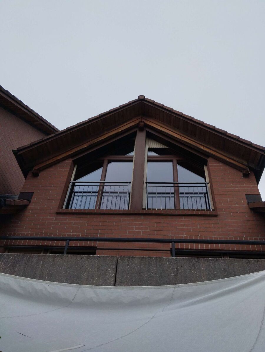 Bee nest at the house remove