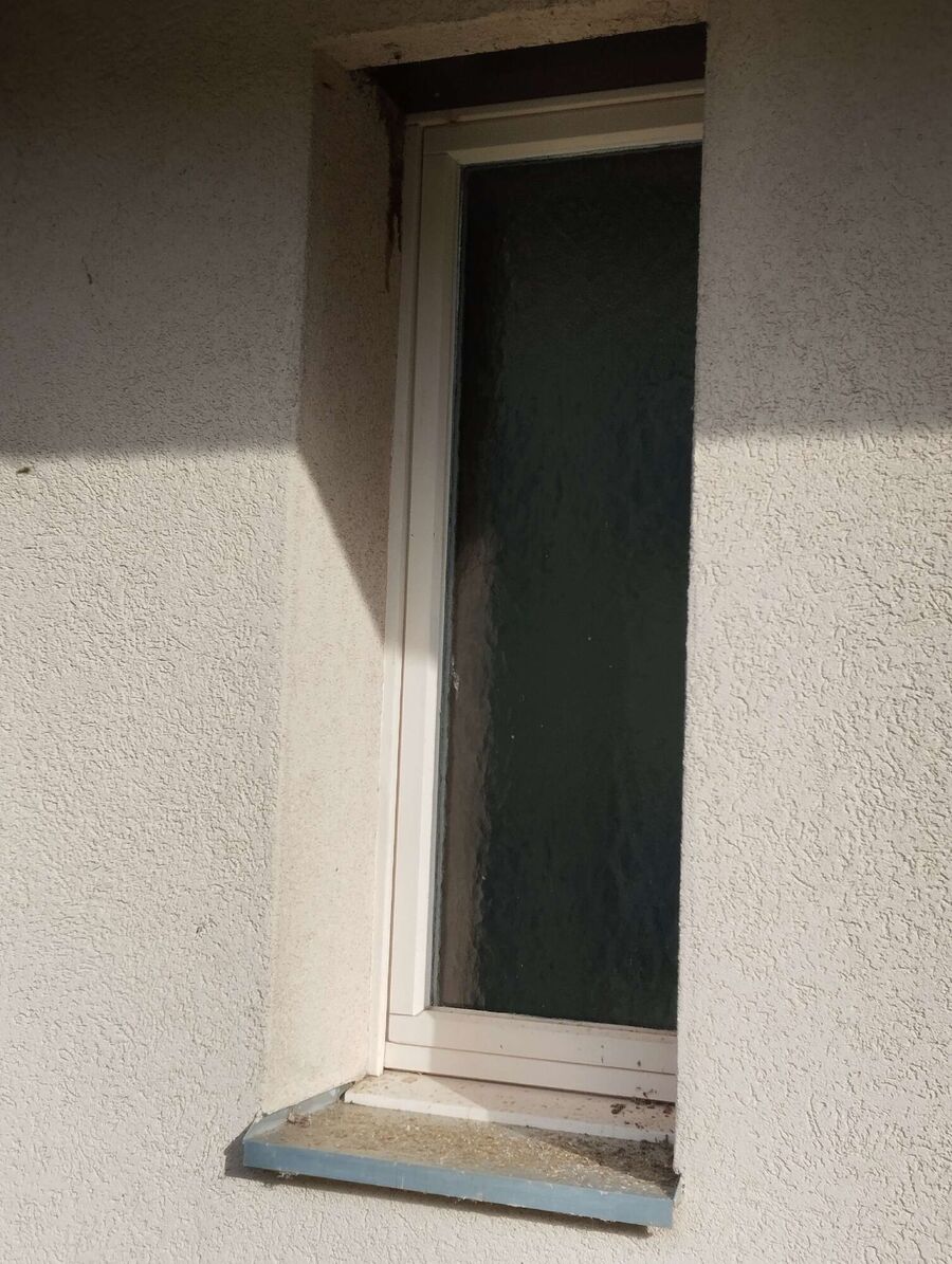 Bee nest at the house remove