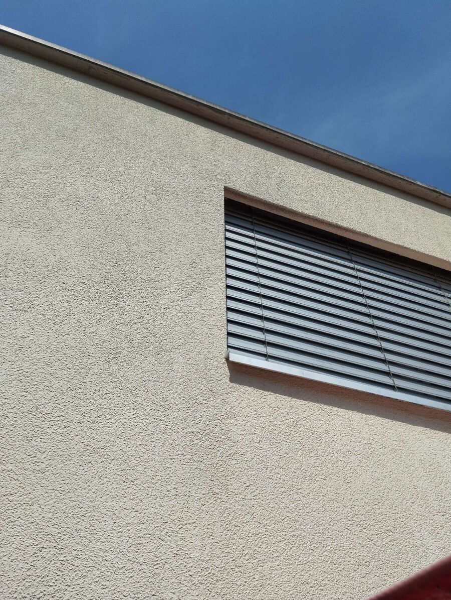 Relocate bees & remove bee nest