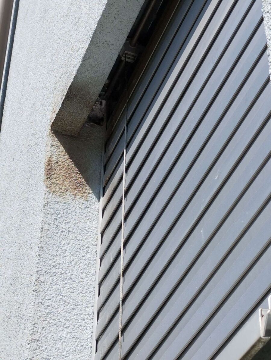 Bee nest at the house remove