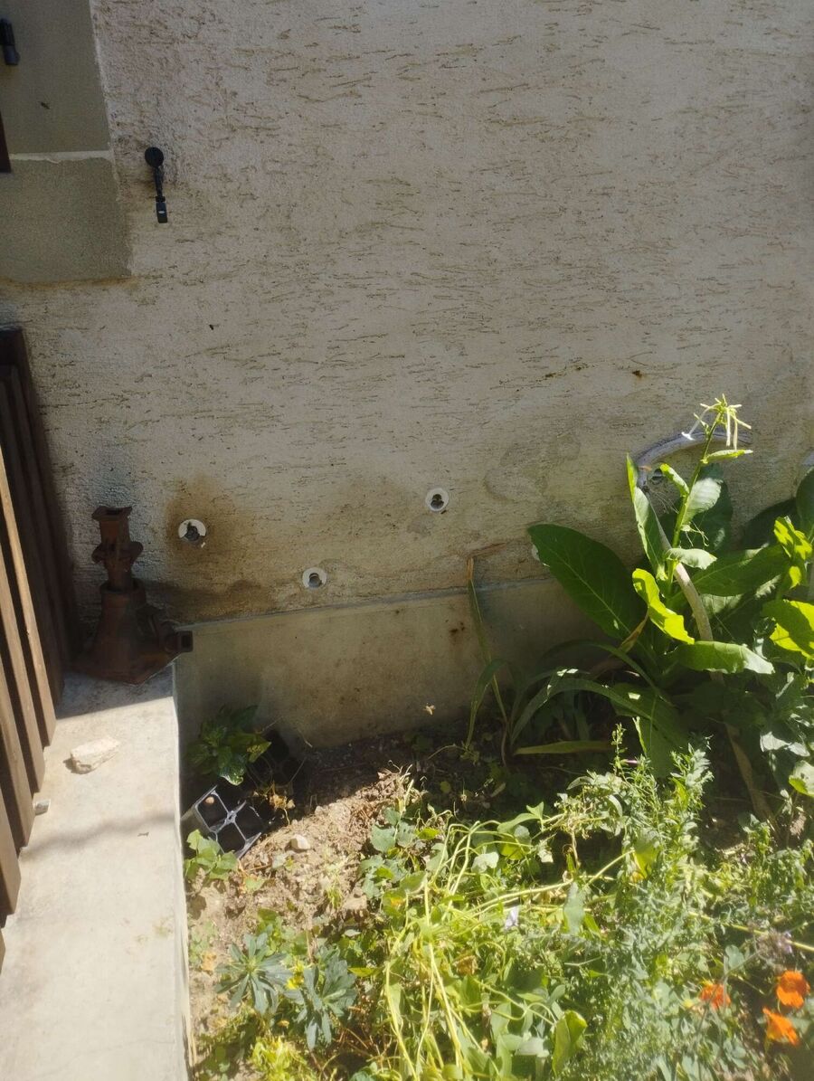 Relocate bees & remove bee nest