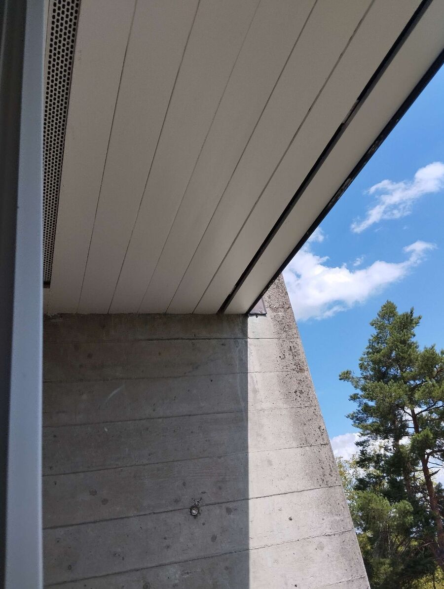 Bee nest at the house remove