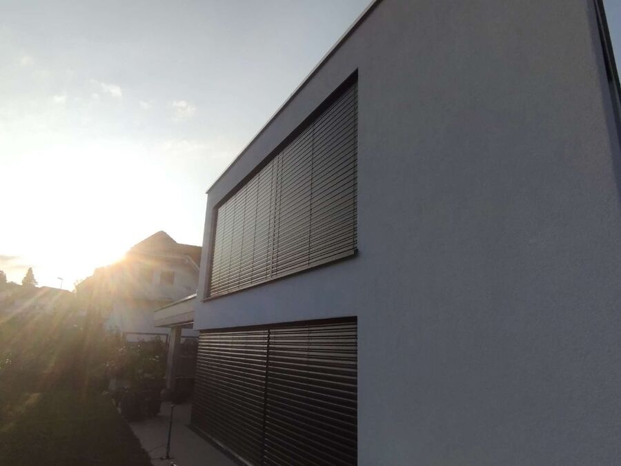 Relocate bees & remove bee nest