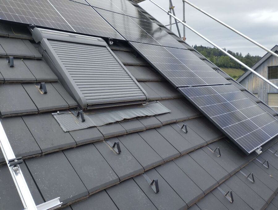 Bee nest at the house remove