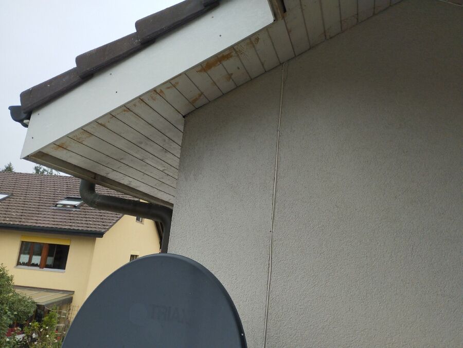 Bee nest at the house remove