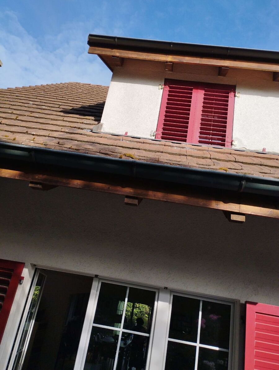 Bee nest at the house remove