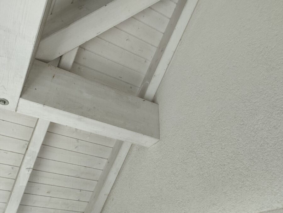 Bee nest at the house remove