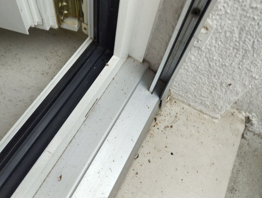 Bee nest at the house remove