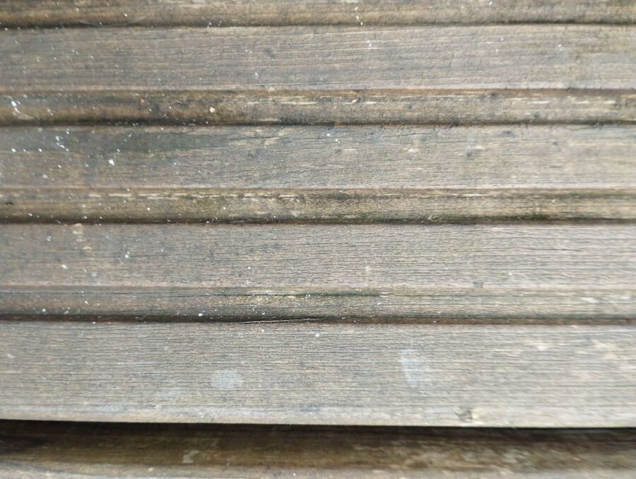 Relocate bees & remove bee nest