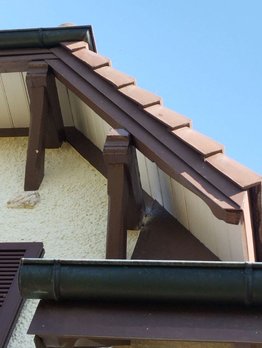 Relocate bees & remove bee nest