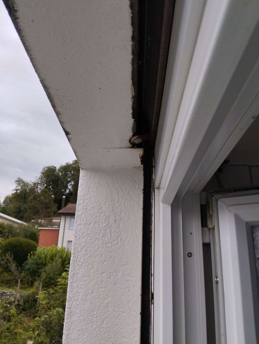 Bee nest at the house remove