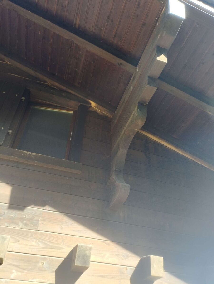 Bee nest at the house remove